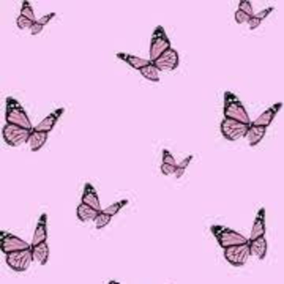 Meet your Posher, Mimi - Picture 1 of 1